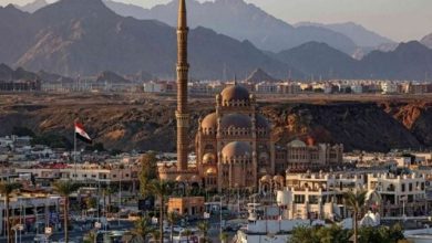 حماس خواستار آزادی اسرای اسرائیلی همزمان با عقب_نشینی کامل شد