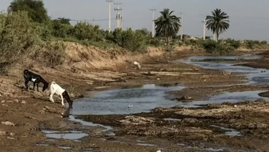 بحران منابع آبی