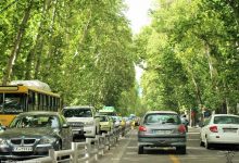فضای سبز