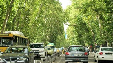 فضای سبز