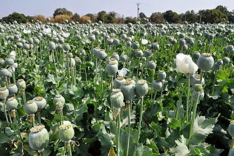 دادستان کل کشور