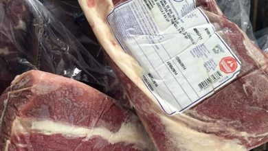دولت برای کاهش قیمت گوشت قرمز، واردات از استرالیا و مغولستان را آغاز کرده است