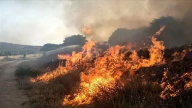 رهاسازی مقطعی آب، مُسکّنی موقت برای درد مزمن هورالعظیم