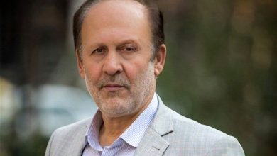 ساداتیان دیپلماسی ایران نیاز به تحرک بیشتری دارد