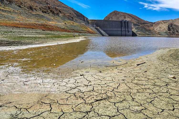 سازمان هواشناسی