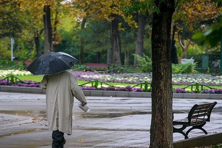سازمان هواشناسی