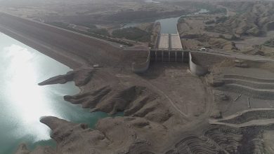کاهش یافت