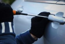 سارقین حرفه‌ای