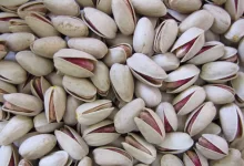 افزایش صادرات