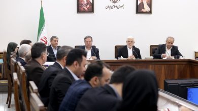 عارف خواستار اصلاح الگوی کشت و مقابله با چاه_های غیرمجاز شد