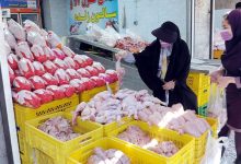 عرضه گوشت مرغ با قیمت جدید افزایش خواهد یافت
