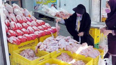 عرضه گوشت مرغ با قیمت جدید افزایش خواهد یافت
