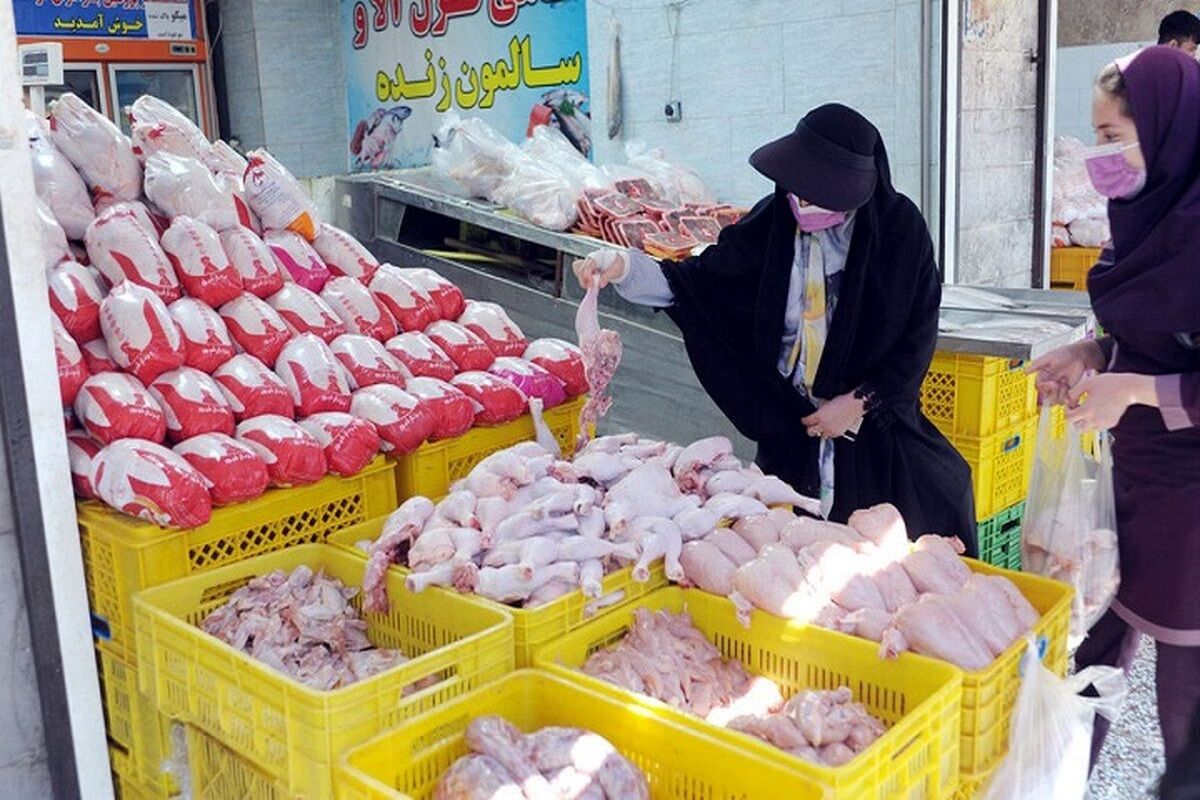 عرضه گوشت مرغ با قیمت جدید افزایش خواهد یافت