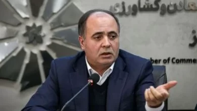 گندم با نرخ تازه