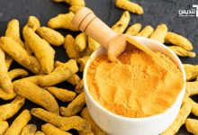 فروش عمده قلم زردچوبه توسط تندیس صنعت پارس کهن