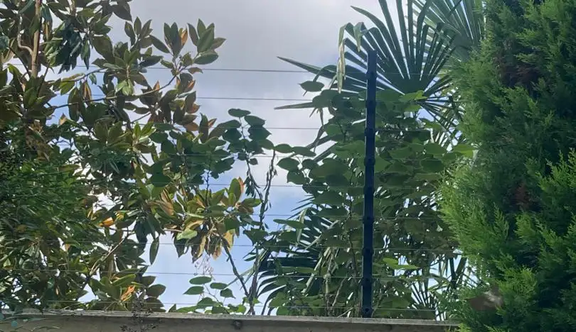 فنس الکتریکی راهکار نوین امنیت