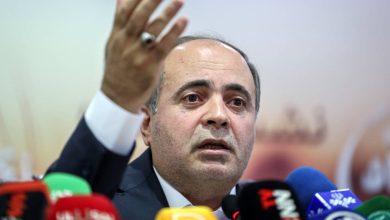 نوری قزلجه: کاهش سهمیه ارزی، تأمین نهادههای دامی را با مشکل روبهرو کرده است