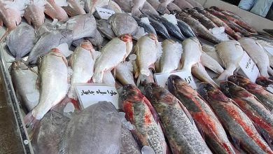 ماهی‌های جنوب و شمال