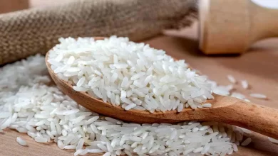قیمت روز برنج ایرانی و خارجی؛ منتظر بحران باشیم یا آرامش؟