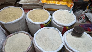 قیمت برنج پاکستانی سه برابر شد؛ عرضه برنج ایرانی کاهش یافت