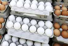 قیمت تخم مرغ