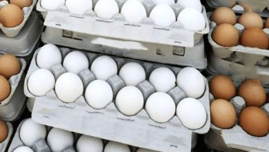 قیمت تخم مرغ