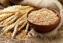 قیمت تضمینی گندم