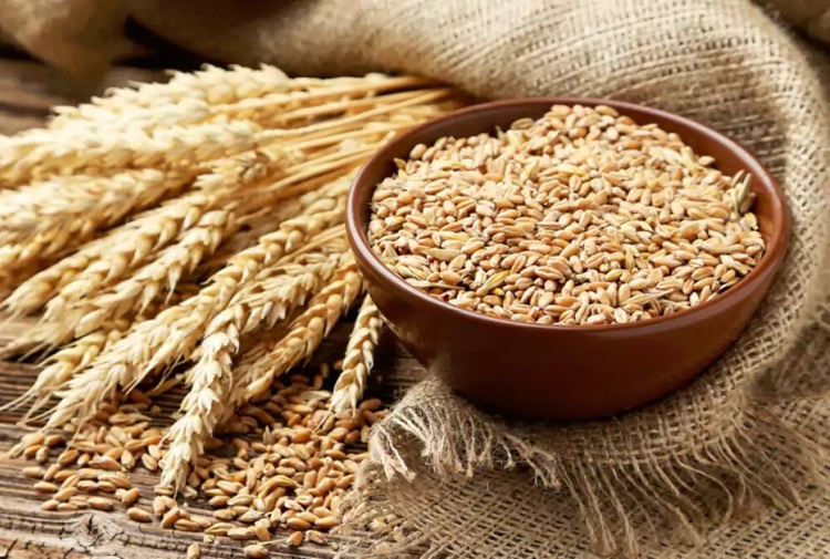 قیمت تضمینی گندم