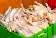 قیمت مرغ گرم