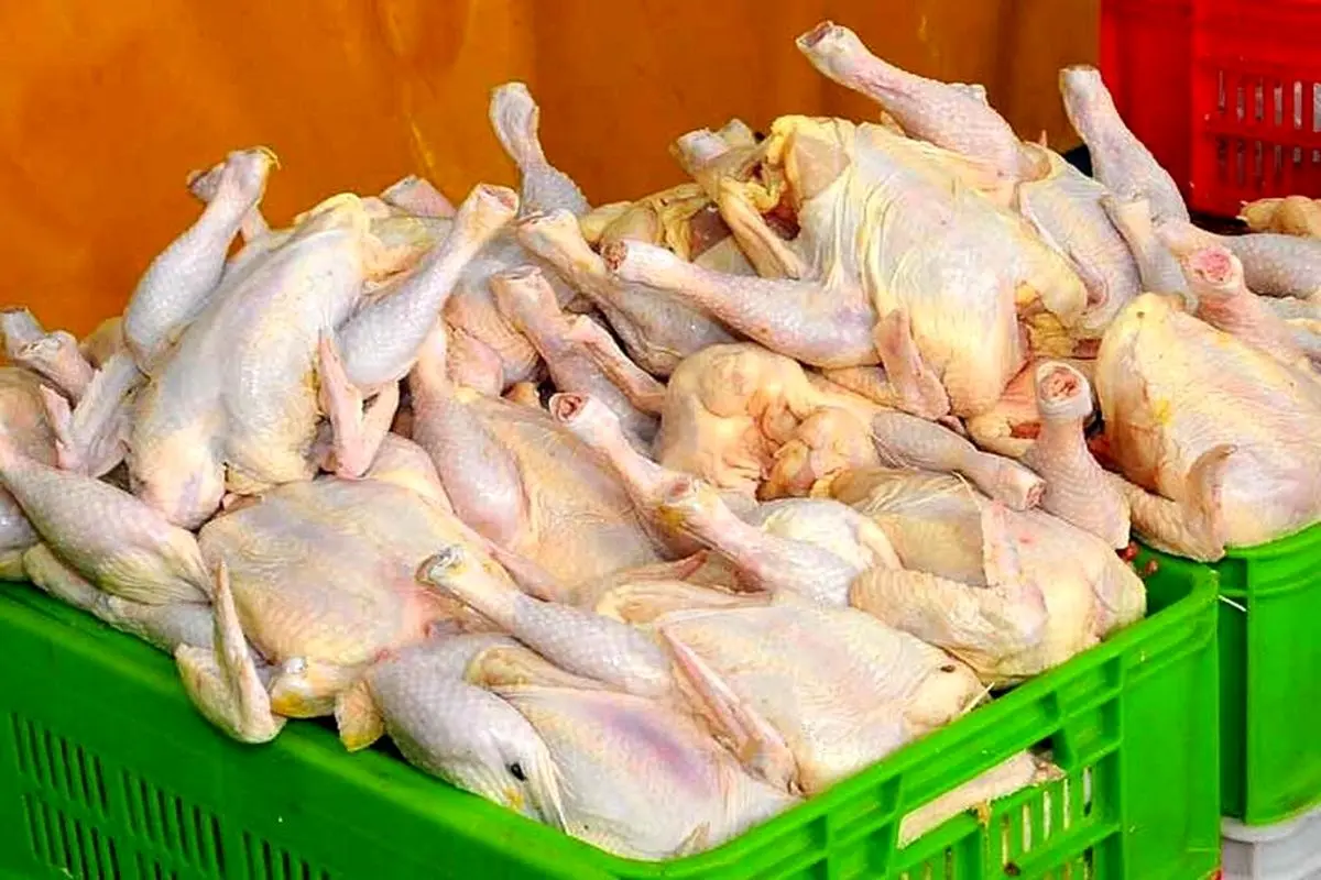 قیمت مرغ گرم