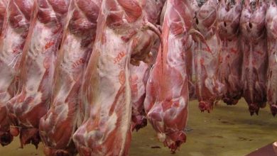  قیمت گوشت