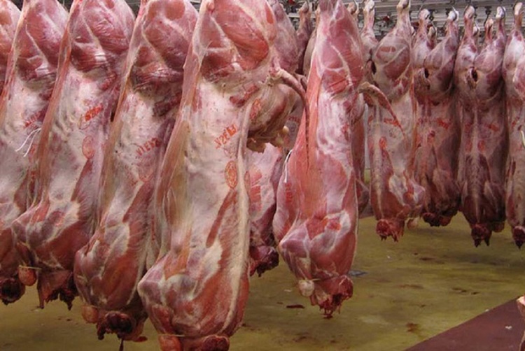 قیمت گوشت