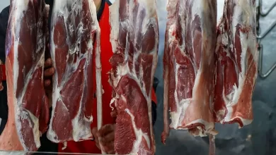 شفروش گوشت به قیمت کیلویی ۱.۵ میلیون اما دام‌زنده به نصف قیمت؛ چرا؟ت
