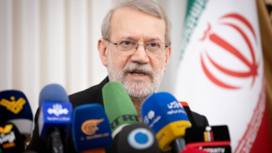 لاریجانی: پیشنهاد آژانس در دبیرخانه شورای عالی امنیت ملی بررسی می‌شود