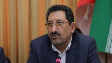 خودرو ویژه معلولان