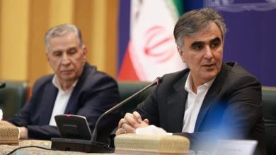 محمدرضا فرزین