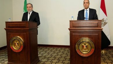 محور تماس مقامات تهران و قاهره: فشار منطقهای برای پایان دادن به جنایات غزه