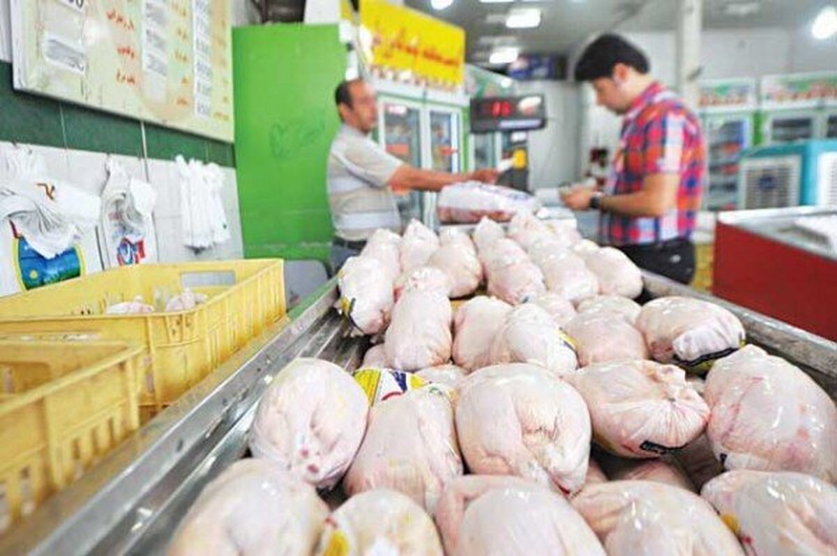 مرغ گرم در تهران ۶ هزار تومان کمتر از نرخ رسمی عرضه می‌شود