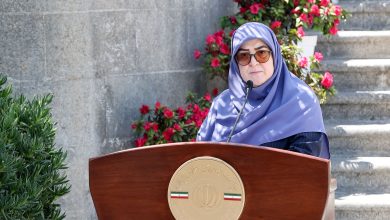 مهاجرانی: تصویب CFT و پالرمو به معنای خروج سریع از لیست سیاه نبود