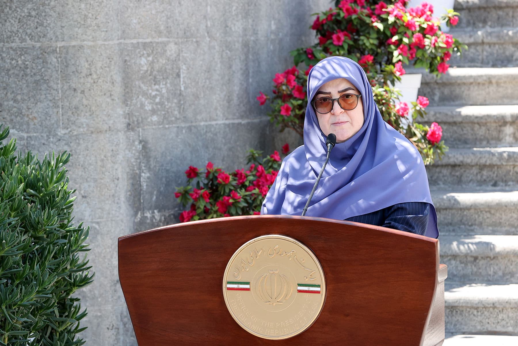 مهاجرانی: تصویب CFT و پالرمو به معنای خروج سریع از لیست سیاه نبود