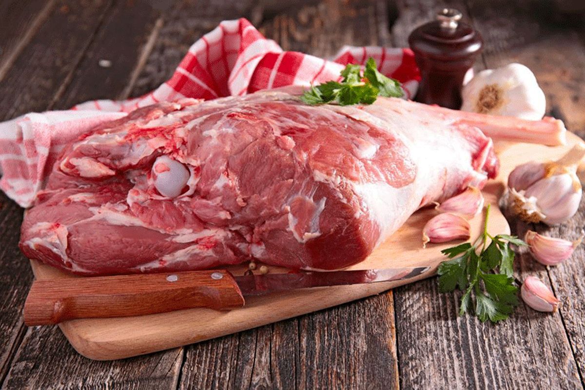 واردات دام زنده تأثیر بیشتری از گوشت منجمد در کاهش قیمت دارد