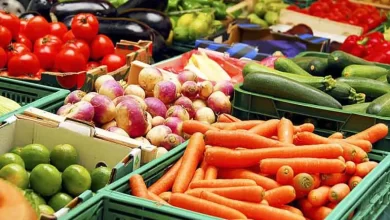 واردات محصولات ایرانی به عراق