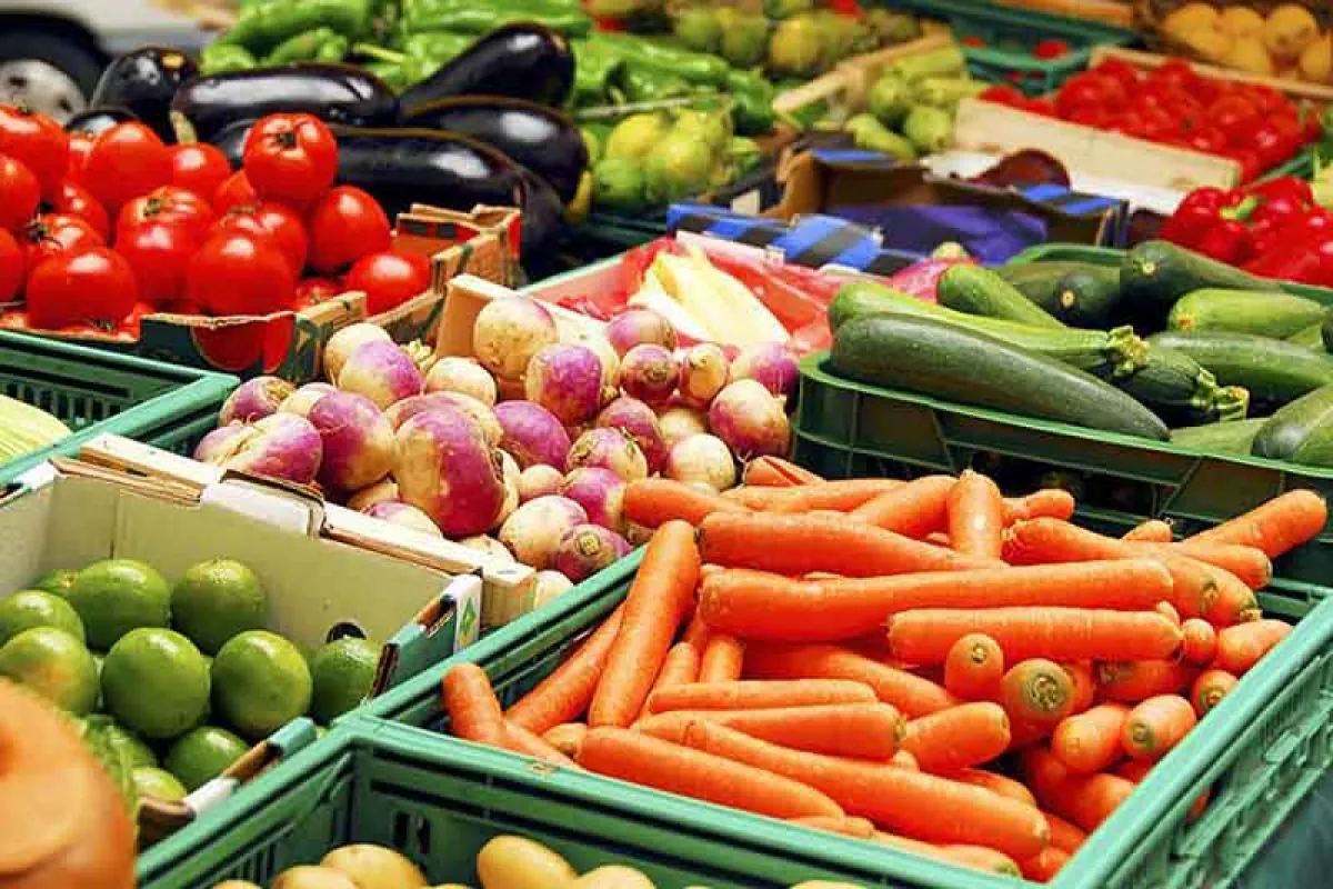 واردات محصولات ایرانی به عراق