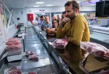 واردات گوشت قرمز از سر گرفته شد: قیمت گوشت گرم گوساله 598 هزار تومان