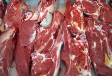 واردات گوشت منجمد