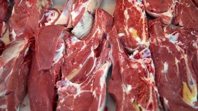 واردات گوشت منجمد