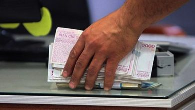 لزوم تسریع در پرداخت وام اشتغال؛ قوامی بر همکاری وزارت اقتصاد و بانک مرکزی تأکید کرد!