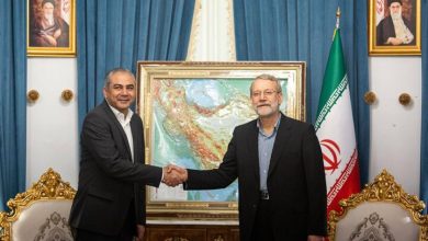 وزیر کشور پاکستان با علی لاریجانی دیدار و گفتگو کرد