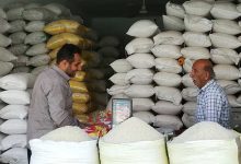 برنج وارداتی هم لاکچری شد! روایت گرانی از فروردین تا مهر