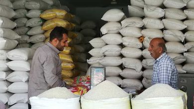 برنج وارداتی هم لاکچری شد! روایت گرانی از فروردین تا مهر